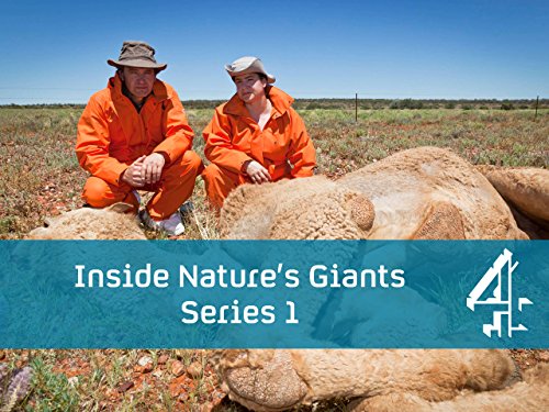 Inside.Natures.Giants.S04.720p.WEB-DL.AAC2.0.h.264-BTN – 5.7 GB