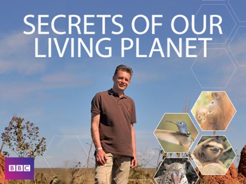 Secrets.of.Our.Living.Planet.S01.2012.720p.Blu-ray.DTS.x264-DON – 9.6 GB