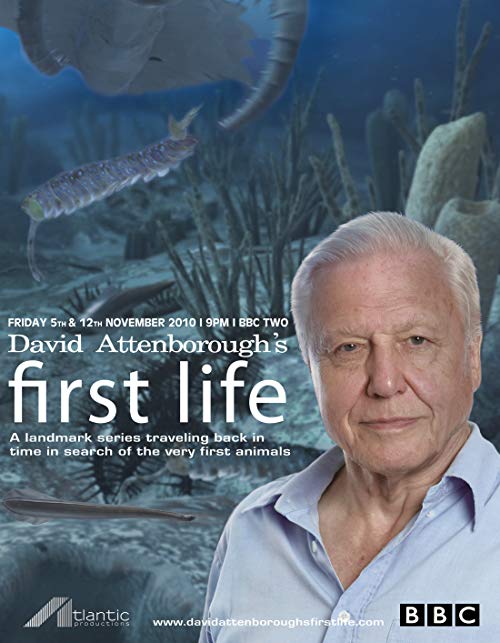 David.Attenborough’s.First.Life.S01.2010.720p.Blu-ray..DD2.0.x264.AtZLIT – 7.4 GB