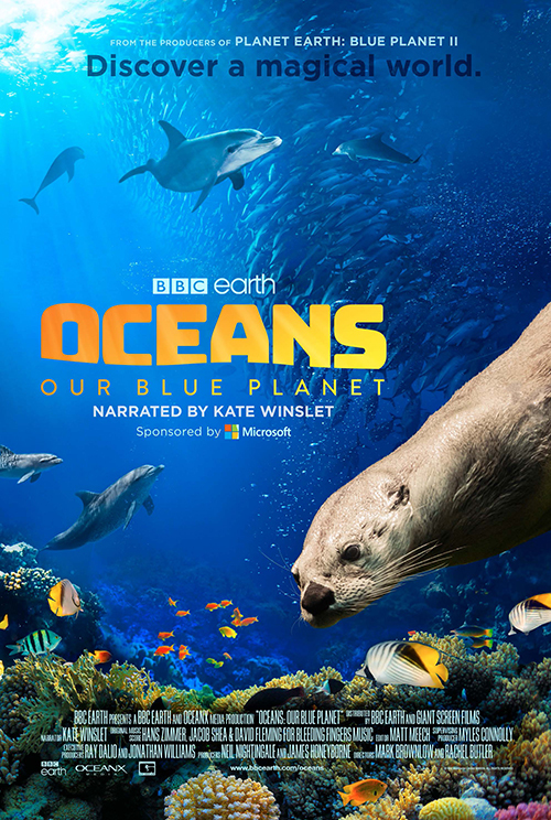 Oceans.Our.Blue.Planet.2018.UHD.BluRay.2160p.HDR.DTS-HD.MA.5.1.HEVC.REMUX-FraMeSToR – 16.8 GB