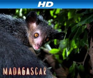 BBC.Madagascar.2011.S01.720p.BluRay.x264-WiKi – 13.1 GB