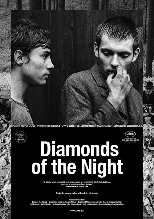 Diamonds.of.the.Night.1964.720p.BluRay.x264-GHOULS – 3.3 GB