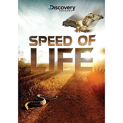 Speed.of.Life.2010.S01.Bluray.1080p.AC3.x264-CHD – 13.1 GB