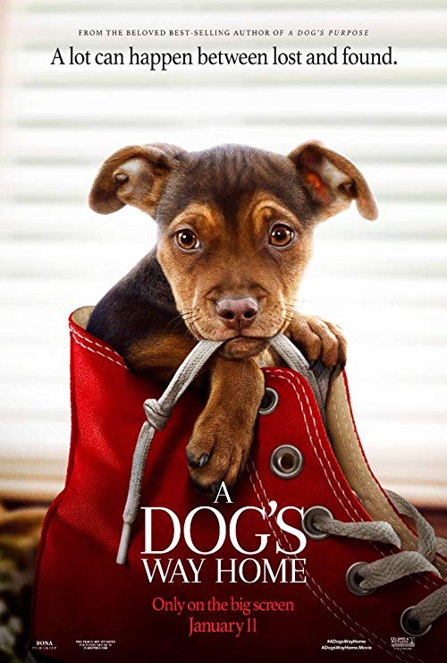 A.Dog’s.Way.Home.2019.BluRay.720p.DTS.x264-MTeam – 4.4 GB