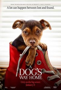 A.Dog’s.Way.Home.2019.BluRay.1080p.DTS-HD.MA.5.1.x264-MTeam – 10.3 GB