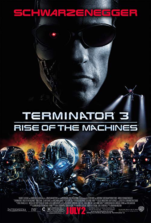 Terminator.3.Rise.of.the.Machines.2003.720p.BluRay.DTS.x264-ESiR – 6.6 GB