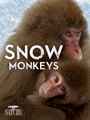 "Nature" Snow Monkeys