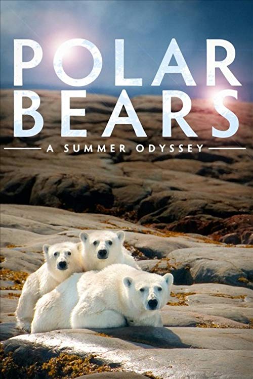 Polar.Bears.A.Summer.Odyssey.2012.720p.Bluray.AC3.5.1.x264-DON – 7.0 GB