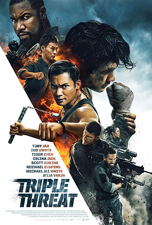 Triple.Threat.2019.720p.BluRay.x264-ALLiANCE – 4.4 GB