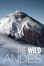 The.Wild.Andes.S01.1080p.WEB-DL.h264-CAFFEiNE – 4.3 GB