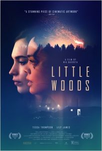 Little.Woods.2018.1080p.AMZN.WEB-DL.DDP5.1.H.264-NTG – 5.6 GB