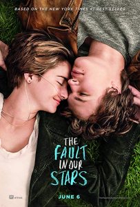 The.Fault.in.our.Stars.2014.720p.BluRay.DD5.1.x264-VietHD – 7.1 GB