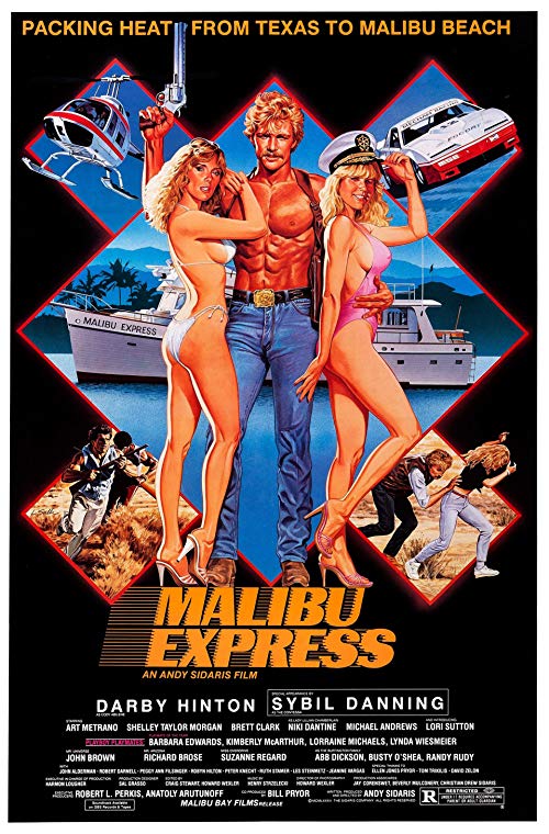 Malibu.Express.1985.1080p.BluRay.REMUX.AVC.FLAC.2.0-EPSiLON – 25.2 GB