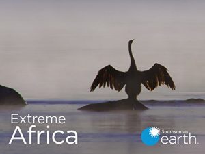 Extreme.Africa.S01.720p.AMZN.WEB-DL.DDP2.0.x264-RCVR – 7.3 GB