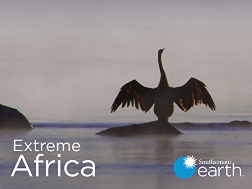 Extreme.Africa.S01.720p.AMZN.WEB-DL.DDP2.0.x264-RCVR – 7.3 GB