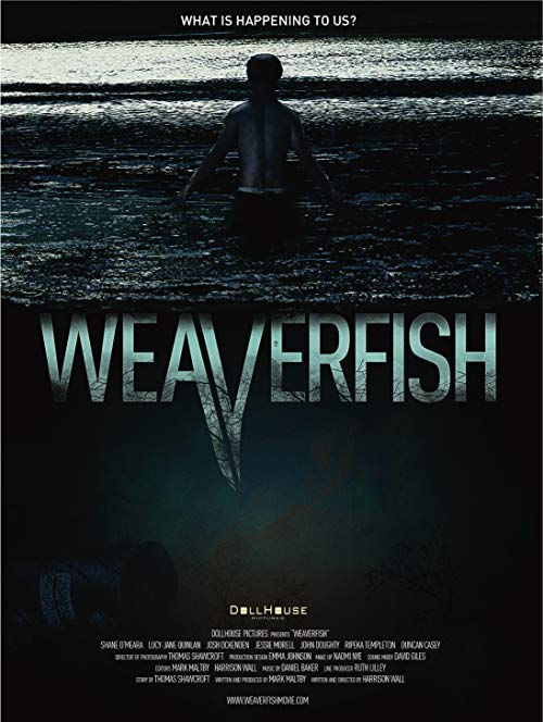 Weaverfish.2013.1080p.AMZN.WEB-DL.AAC2.0.H.264-NTG – 6.3 GB