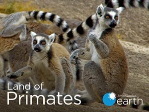 Land.of.Primates.S01.720p.AMZN.WEB-DL.DDP2.0.x264-RCVR – 10.9 GB