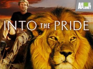 Into.The.Pride.S01.1080p.AMZN.WEB-DL.DDP2.0.H.264-NTb – 15.5 GB