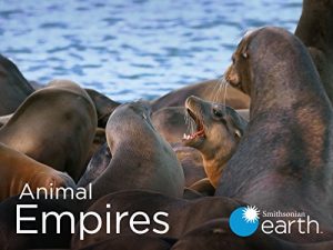 Animal.Empires.S01.720p.AMZN.WEB-DL.DDP2.0.H.264-RCVR – 8.0 GB