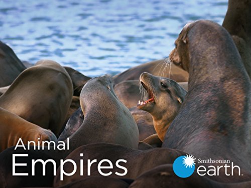 Animal Empire (TV Series)