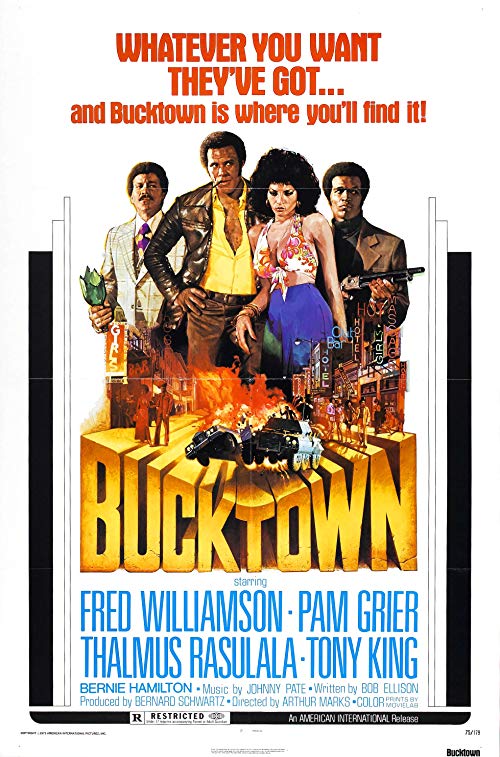 Bucktown.1975.1080p.BluRay.REMUX.AVC.FLAC.2.0-EPSiLON – 20.2 GB