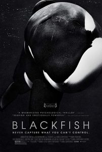 Blackfish.2013.720p.BluRay.DD5.1.x264-ToK – 5.0 GB