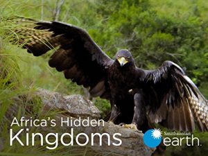Africa’s.Hidden.Kingdoms.S01.720p.AMZN.WEB-DL.DDP2.0.x264-RCVR – 7.0 GB