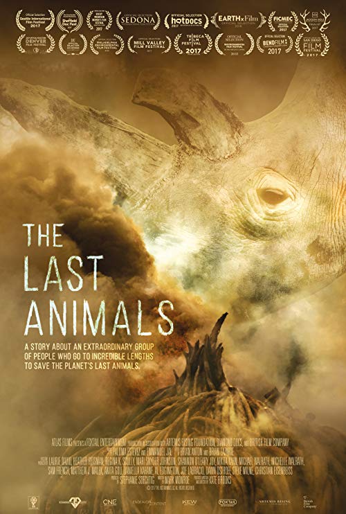 The.Last.Animals.2017.DR.Web-DL.720p.AVC.AAC.2.0-BCH – 1.4 GB
