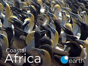 Coastal.Africa.S01.720p.AMZN.WEB-DL.DDP2.0.x264-RCVR – 5.6 GB