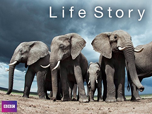 Life.Story.2014.720p.BluRay.DTS.x264-DON – 22.1 GB