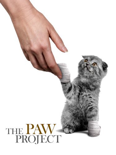 The Paw Project