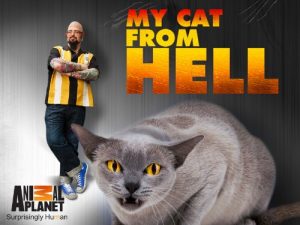 My.Cat.From.Hell.S10.1080p.WEB-DL.x264-CAFFEiNE – 17.8 GB