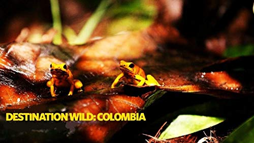 Into.the.Wild.Colombia.S01.1080p.WEB.h264-CAFFEiNE – 7.2 GB
