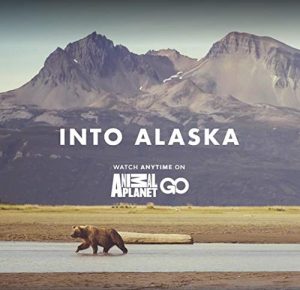 Into.Alaska.S01.720p.WEBRip.AAC2.0.x264-CAFFEiNE – 13.9 GB