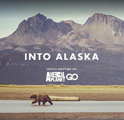 Into Alaska
