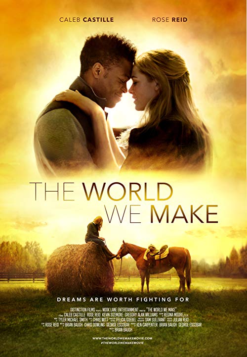 The.World.We.Make.2019.1080p.WEB-DL.H264.AC3-EVO – 3.7 GB