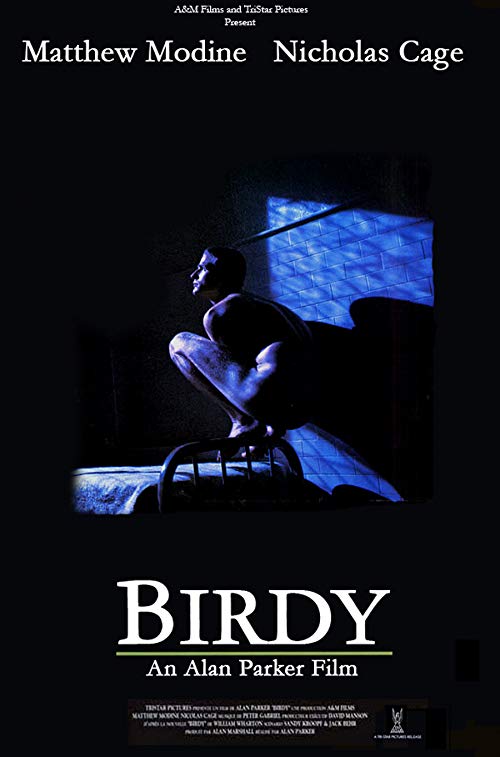 Birdy.1984.720p.BluRay.x264-SiNNERS – 6.6 GB