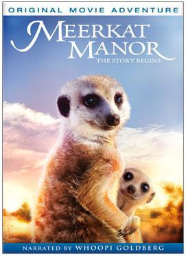 Meerkat Manor: The Story Begins