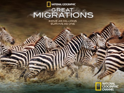 Great.Migrations.2010.S01.720p.BluRay.x264-DON – 19.3 GB