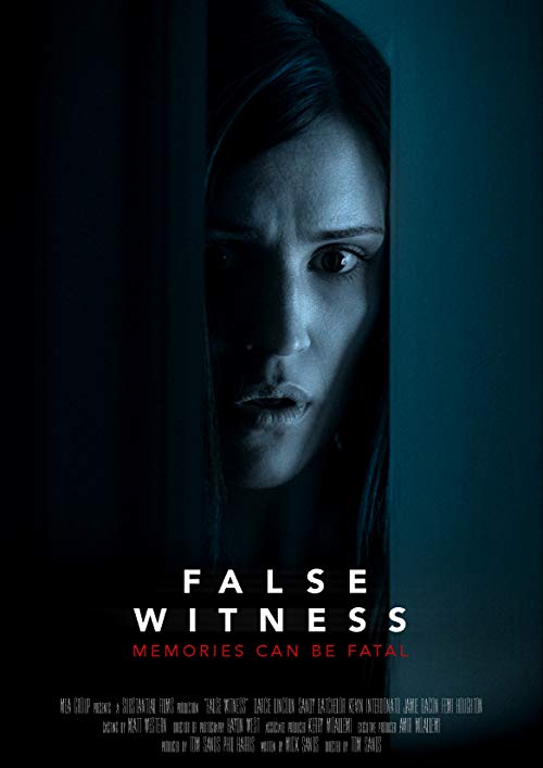 False.Witness.2019.1080p.WEB-DL.H264.AC3-EVO – 3.4 GB