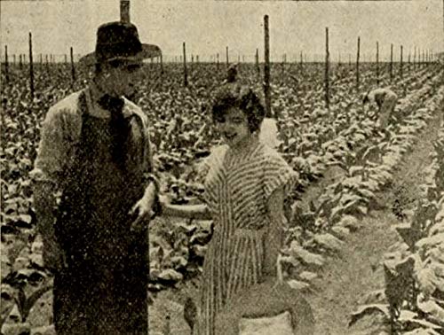 The.Rose.of.Kentucky.1911.720p.BluRay.x264-BiPOLAR – 635.6 MB