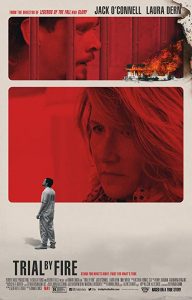 Trial.by.Fire.2019.720p.WEB-DL.X264.AC3-EVO – 3.2 GB