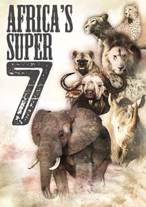Africa’s.Super.Seven.2008.720p.BluRay.FLAC.2.0.x264-DON – 4.9 GB