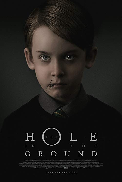 The.Hole.in.the.Ground.2019.LiMiTED.720p.BluRay.x264-CADAVER – 4.4 GB