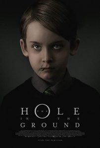 The.Hole.in.the.Ground.2019.LiMiTED.1080p.BluRay.x264-CADAVER – 6.6 GB