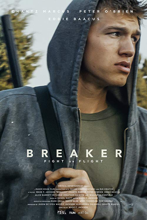 Breaker.2019.1080p.WEB-DL.H264.AC3-EVO – 2.9 GB