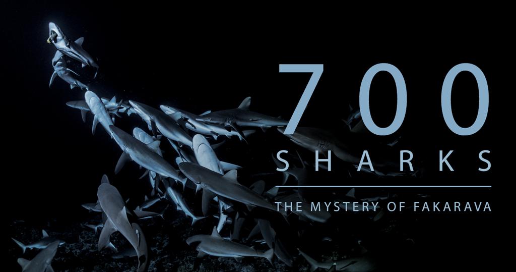 700.Sharks.2018.720p.BluRay.x264-PussyFoot – 4.4 GB