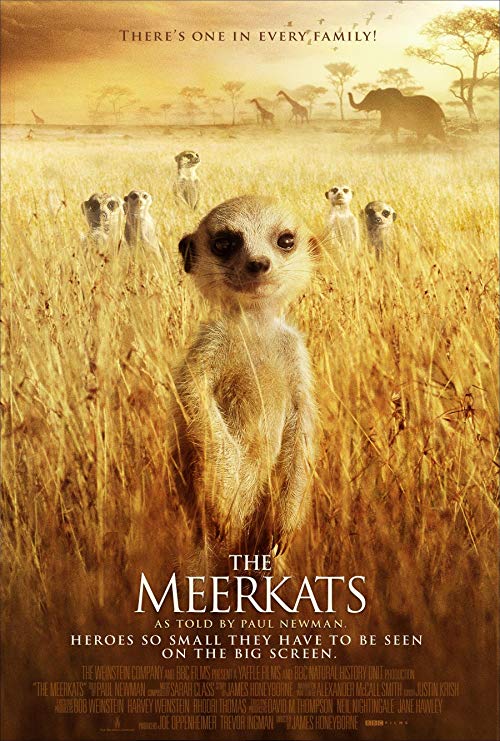 Meerkats: The Movie