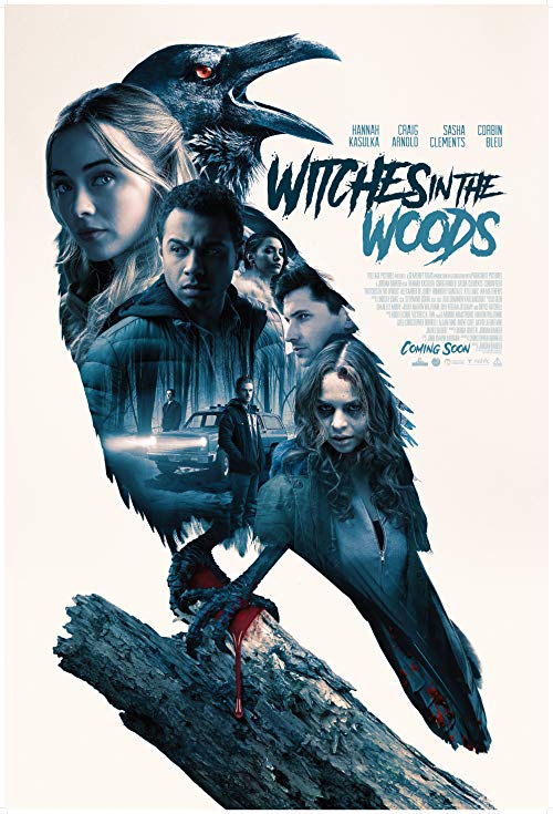 Witches.in.the.Woods.2019.1080p.WEB-DL.H264.AC3-EVO – 3.1 GB