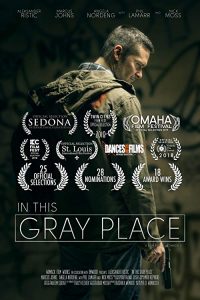 In.This.Gray.Place.2018.1080p.BluRay.x264-BRMP – 7.9 GB